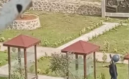 Trabzon’da Bıçak Tanıtım Parkı’nda Balyozlu Saldırı